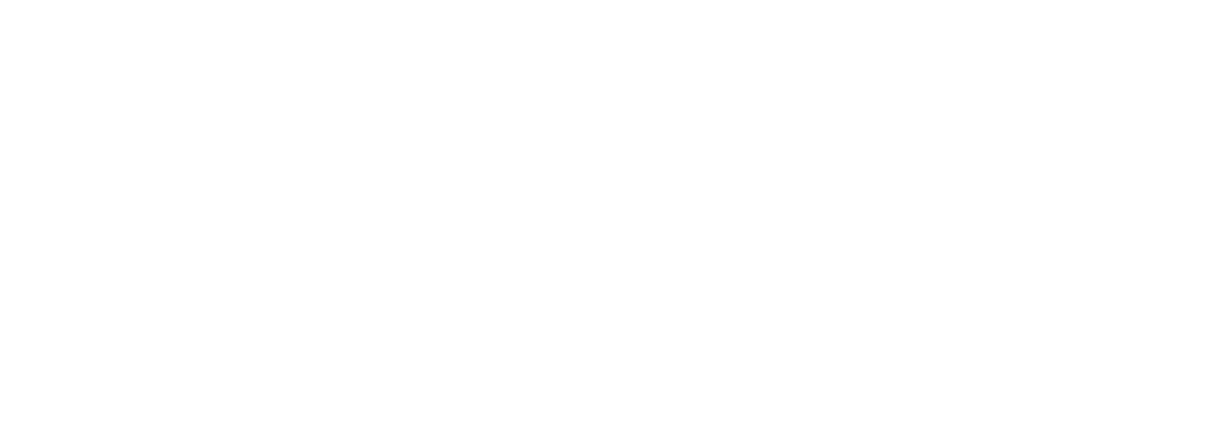 flare logo